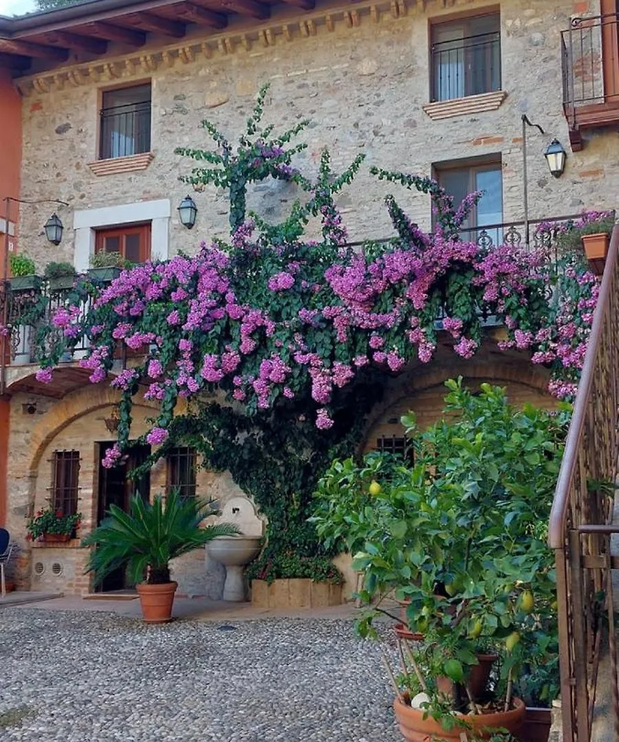 La Casa Nel Borgo Apartment San Felice del Benaco